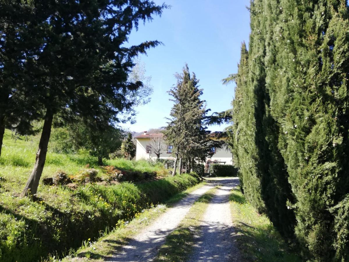 Holiday home La Maroneta Pistoia