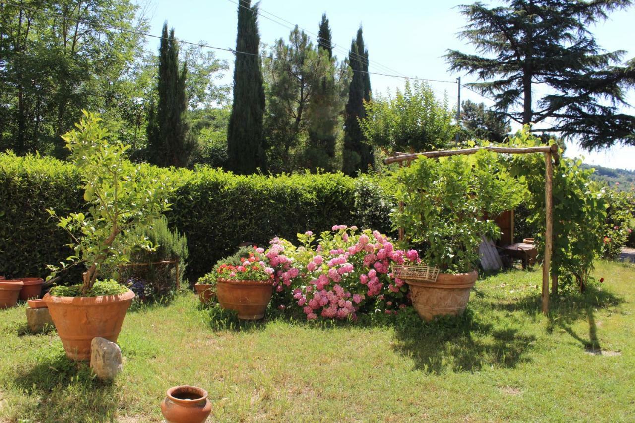 Holiday home La Maroneta Pistoia